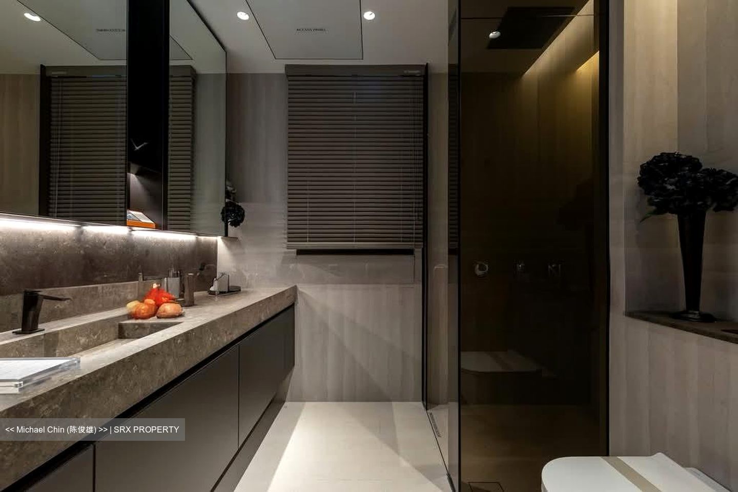 Thomson View Condominium (D20), Condominium #570445841